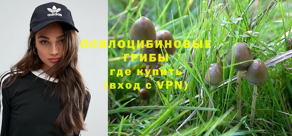 крисы Карпинск