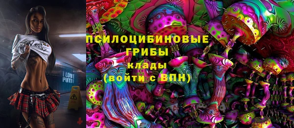 крисы Карпинск