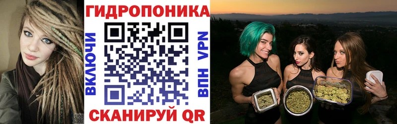 Шишки марихуана конопля  Купить  Петровск-Забайкальский 